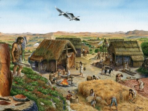 Prehistorische nederzetting met mensen die hutten bouwen, oogsten en koken bij een vuur.