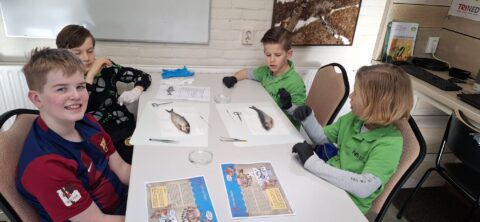 Vier kinderen in een klas ontleden vissen op een tafel met gereedschap.