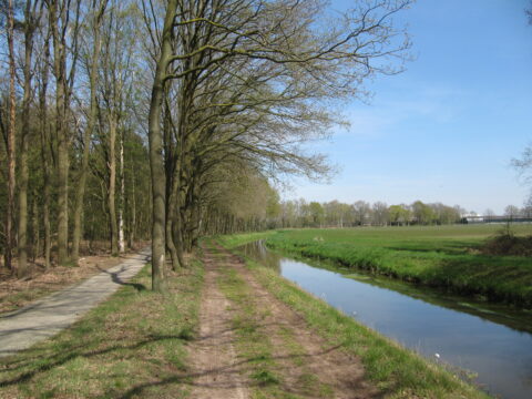 Bosrijk pad langs een beek met helderblauwe lucht en grasveld aan de rechterkant.