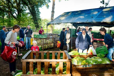 Mensen kopen verse groenten op een marktplaats in de buitenlucht onder een blauwe overkapping.