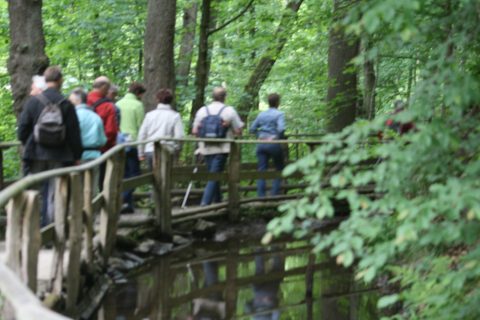 Dagwandeling 2009