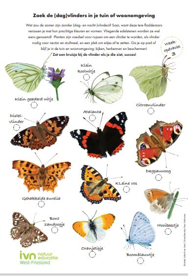Poster met foto's van 12 verschillende vlindersoorten en hun namen.