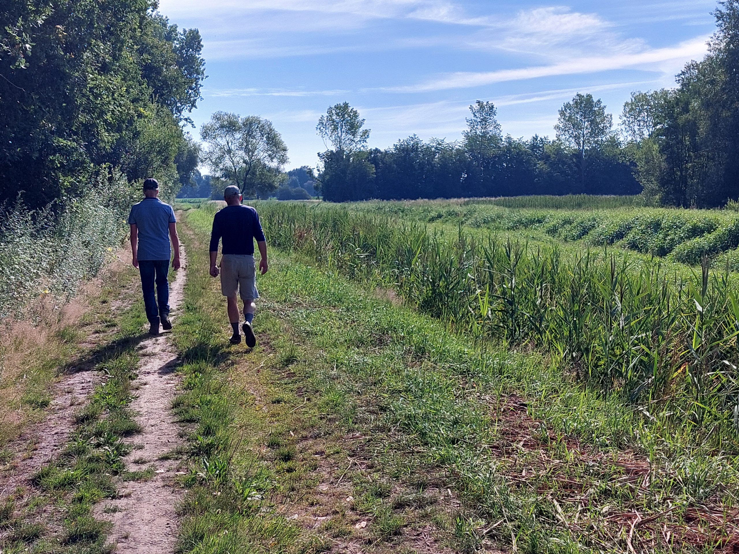 Twee mensen wandelen op een landelijk pad omgeven door groen en bomen onder een blauwe lucht.