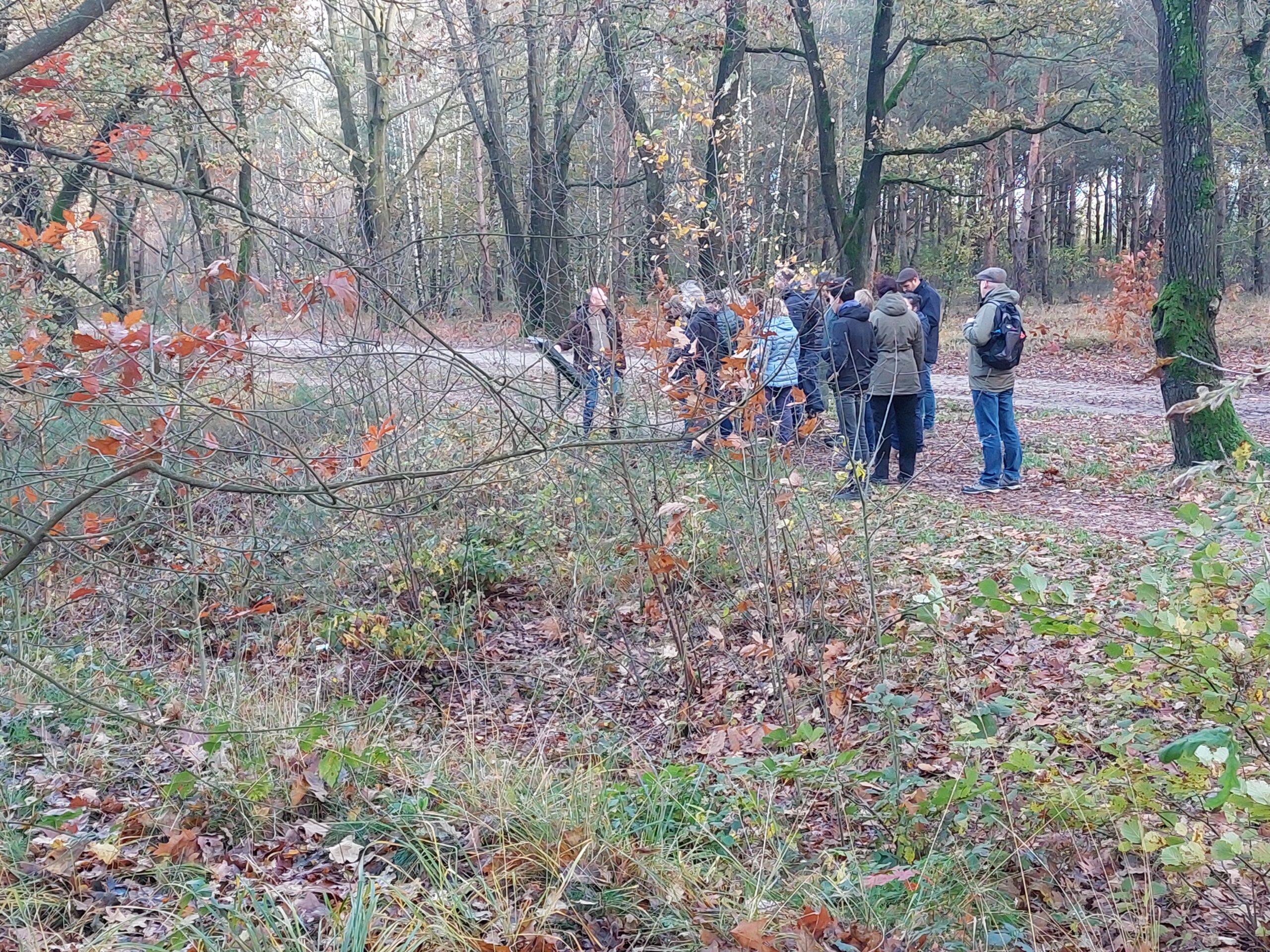Groep mensen in herfstbos, omringd door kale bomen en gevallen bladeren.