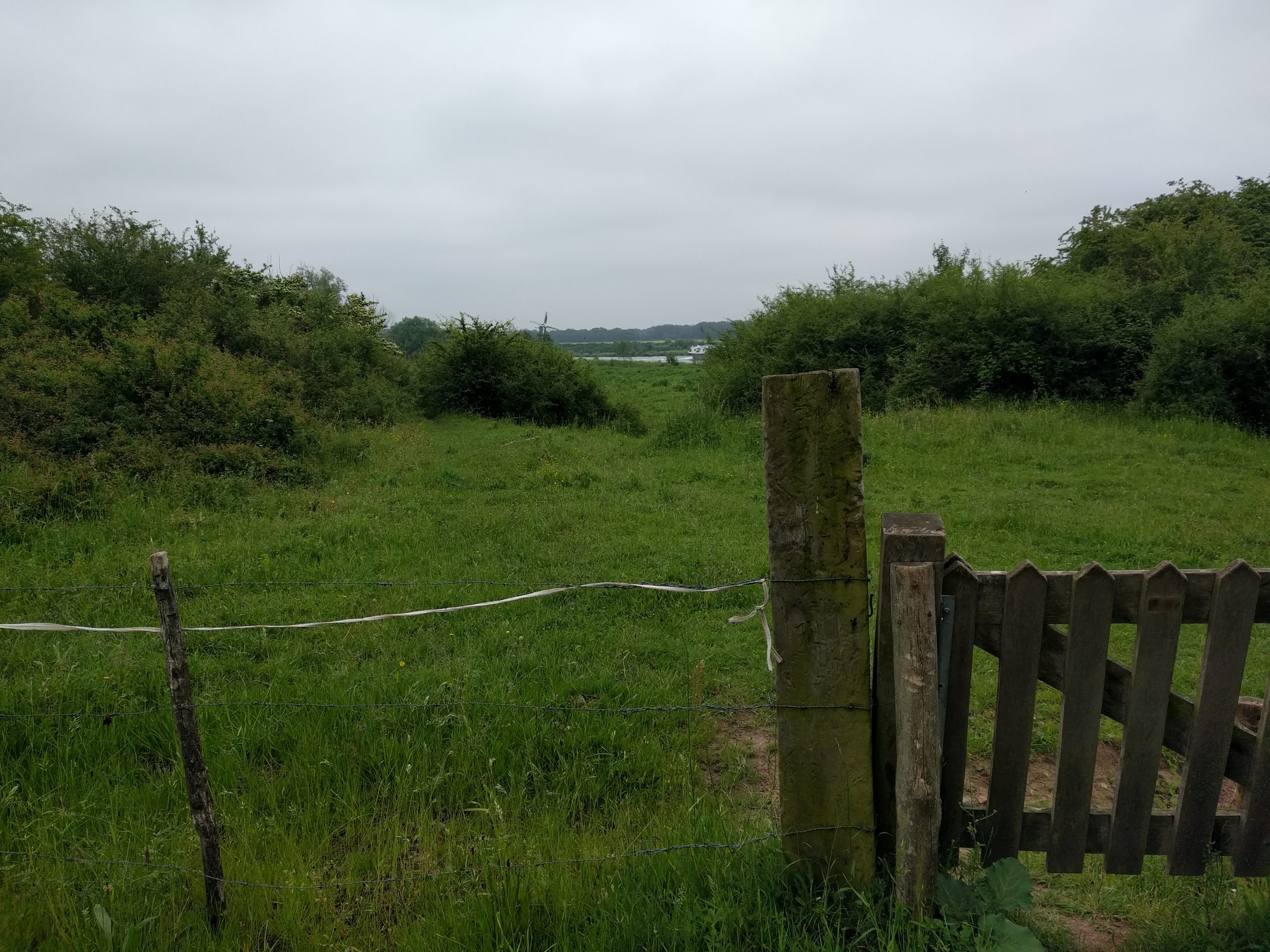 Groen weiland met houten hek en prikkeldraad, omgeven door struiken; windmolen in de verte.