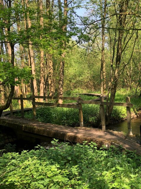 Houten brug over een kleine beek in een bosrijke omgeving.