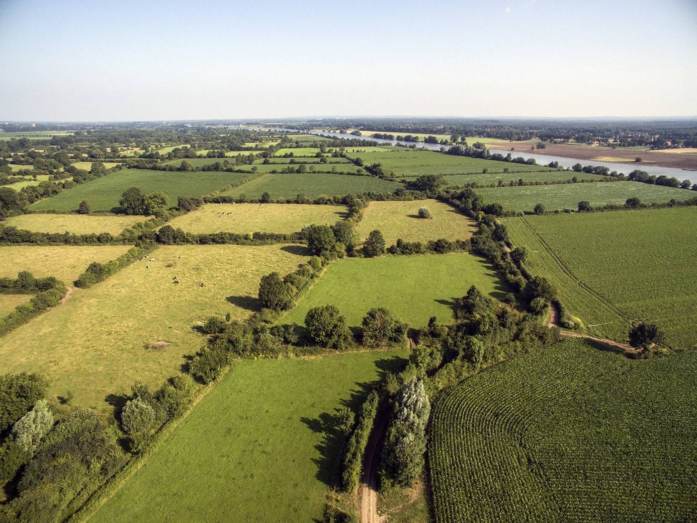 Luchtfoto van groene landbouwvelden en weilanden met bomen en een rivier in de verte.