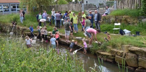 Groep mensen, voornamelijk kinderen, onderzoekt een beek met netten in een groene omgeving.