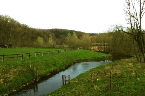 Kronkelende beek door groen landschap met bomen en een hek.