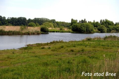 Rivierlandschap met gras, bomen en riet langs de oever onder een heldere lucht.
