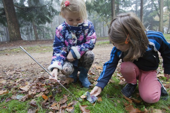 paddenstoelen ontdekken