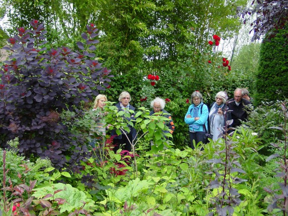 werkgroep planten op pad