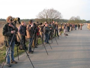 afdhn werkgroepen vogels2
