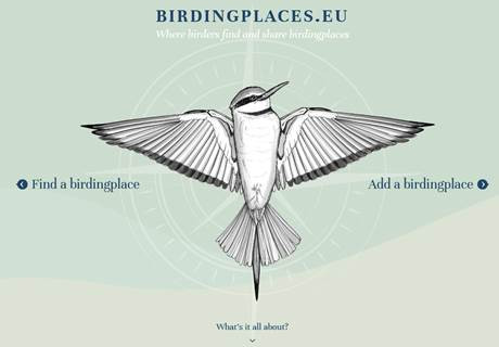 birdingplaces