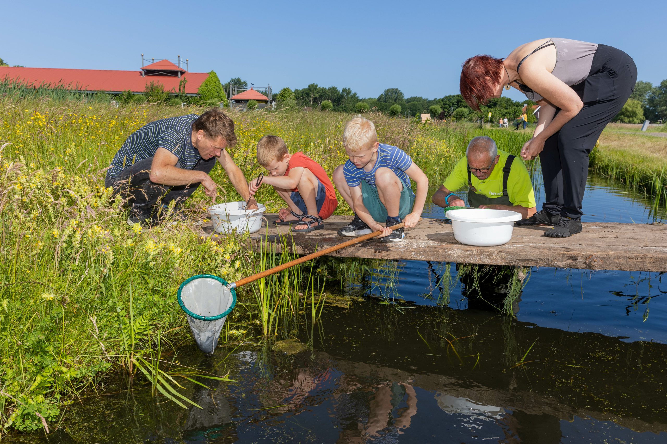 Mensen vangen waterdieren met schepnetten en emmers op een steiger bij een vijver.