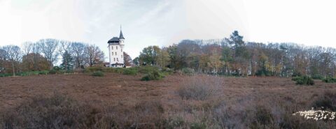 Witte toren naast kale bomen, omgeven door heide met een kudde witte schapen op de voorgrond.