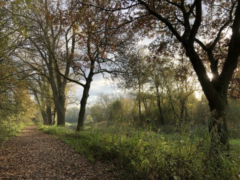 herfst