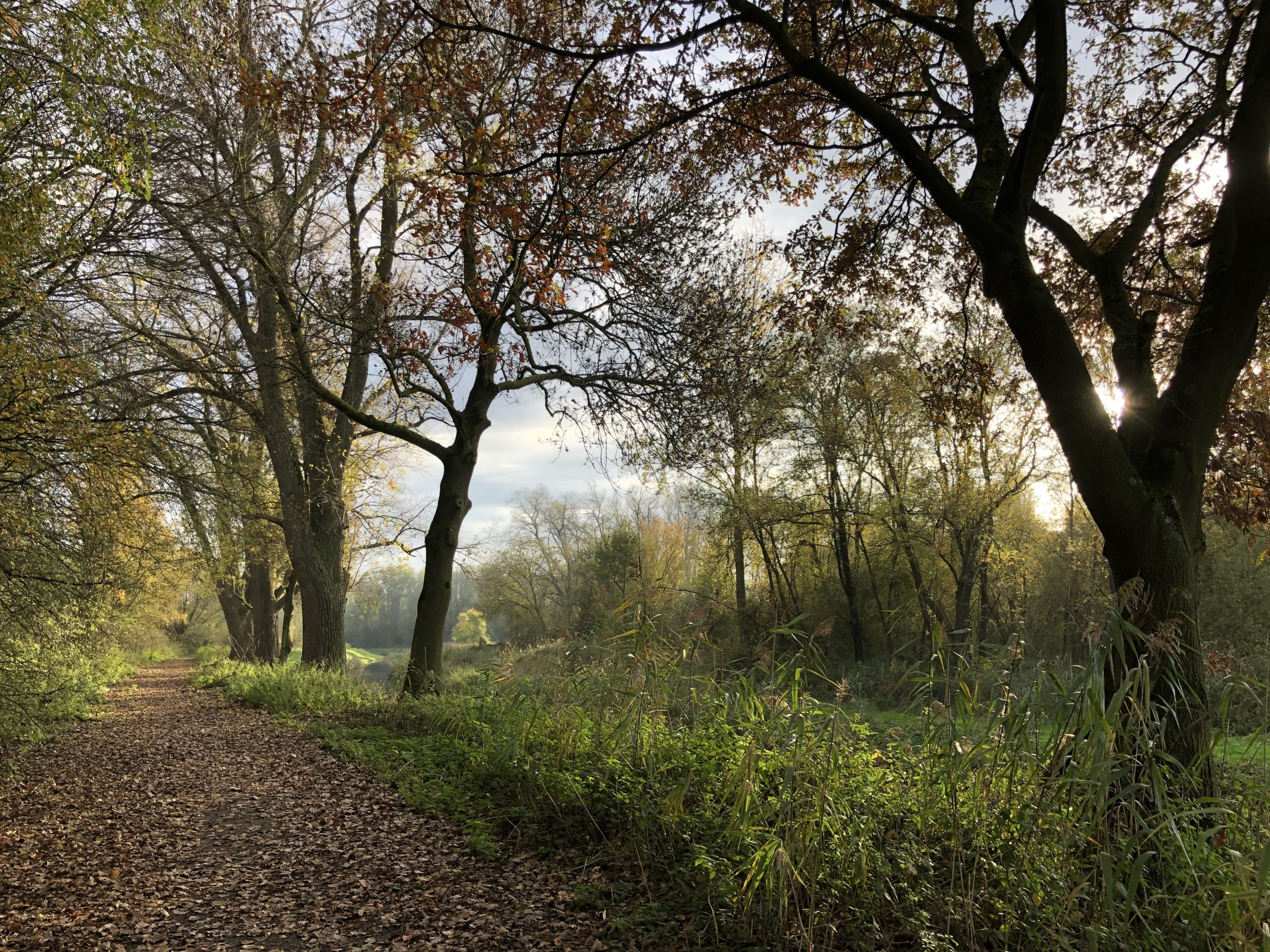 herfst