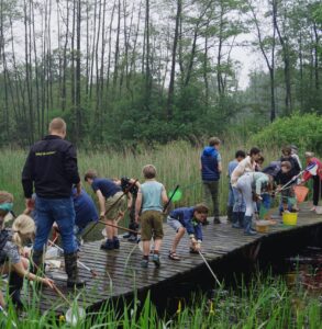 Kinderen vangen waterdieren met netten op een houten steiger in een groen natuurgebied.