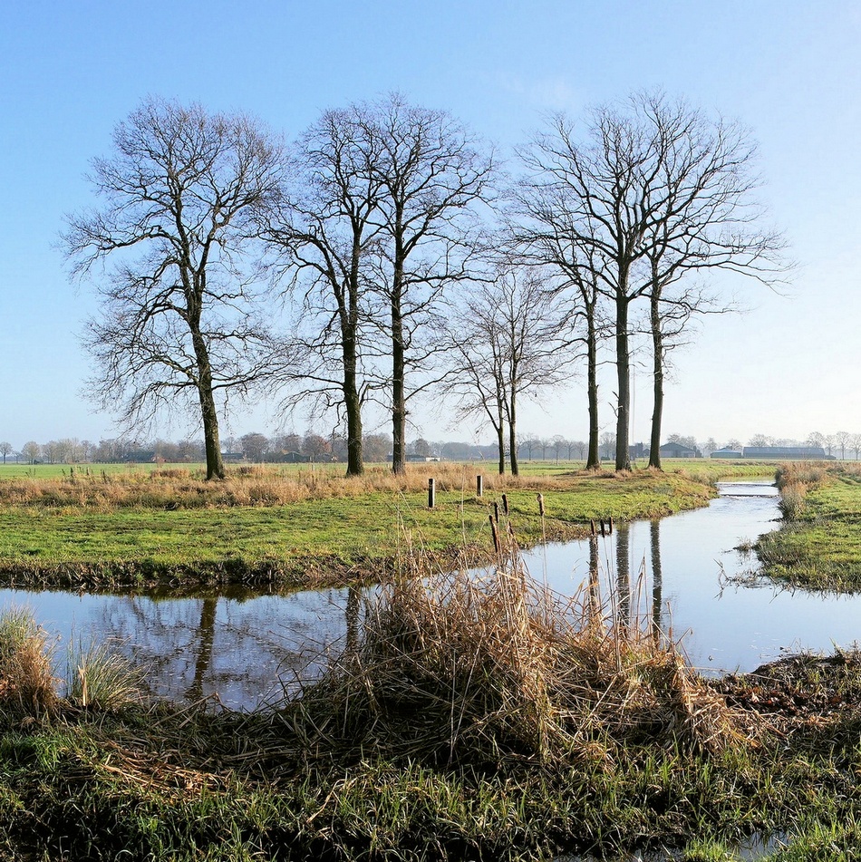 Landschap met kale bomen en een meanderende beek onder een heldere blauwe hemel.