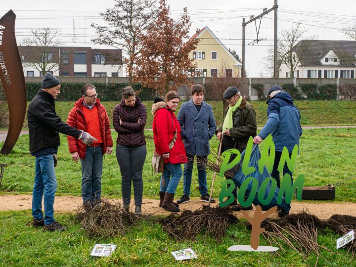Groep mensen plant bomen in een park, met een bord "Plan Boom" op de voorgrond.