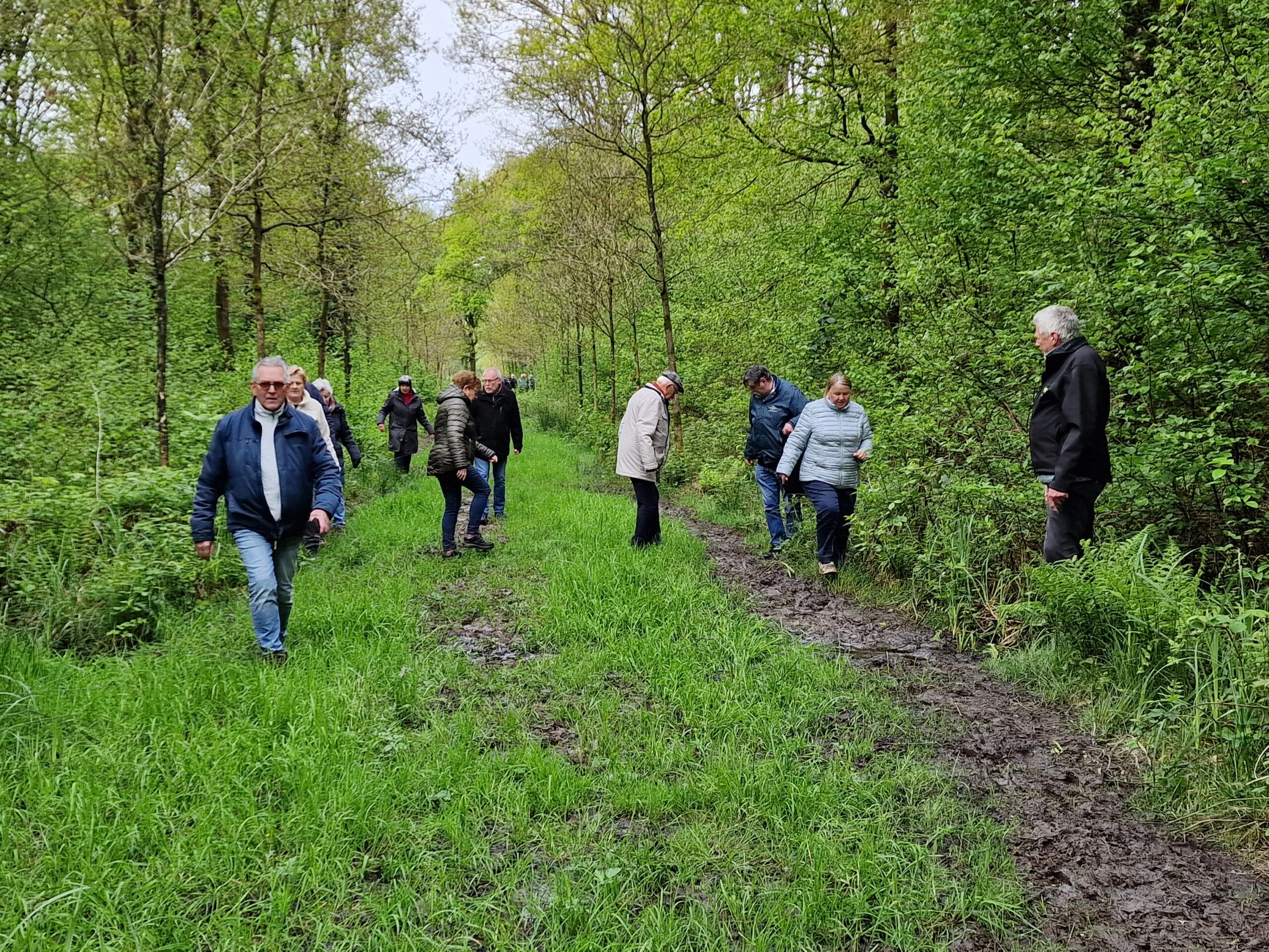 Groep mensen wandelt op een modderig bospad omgeven door groen.