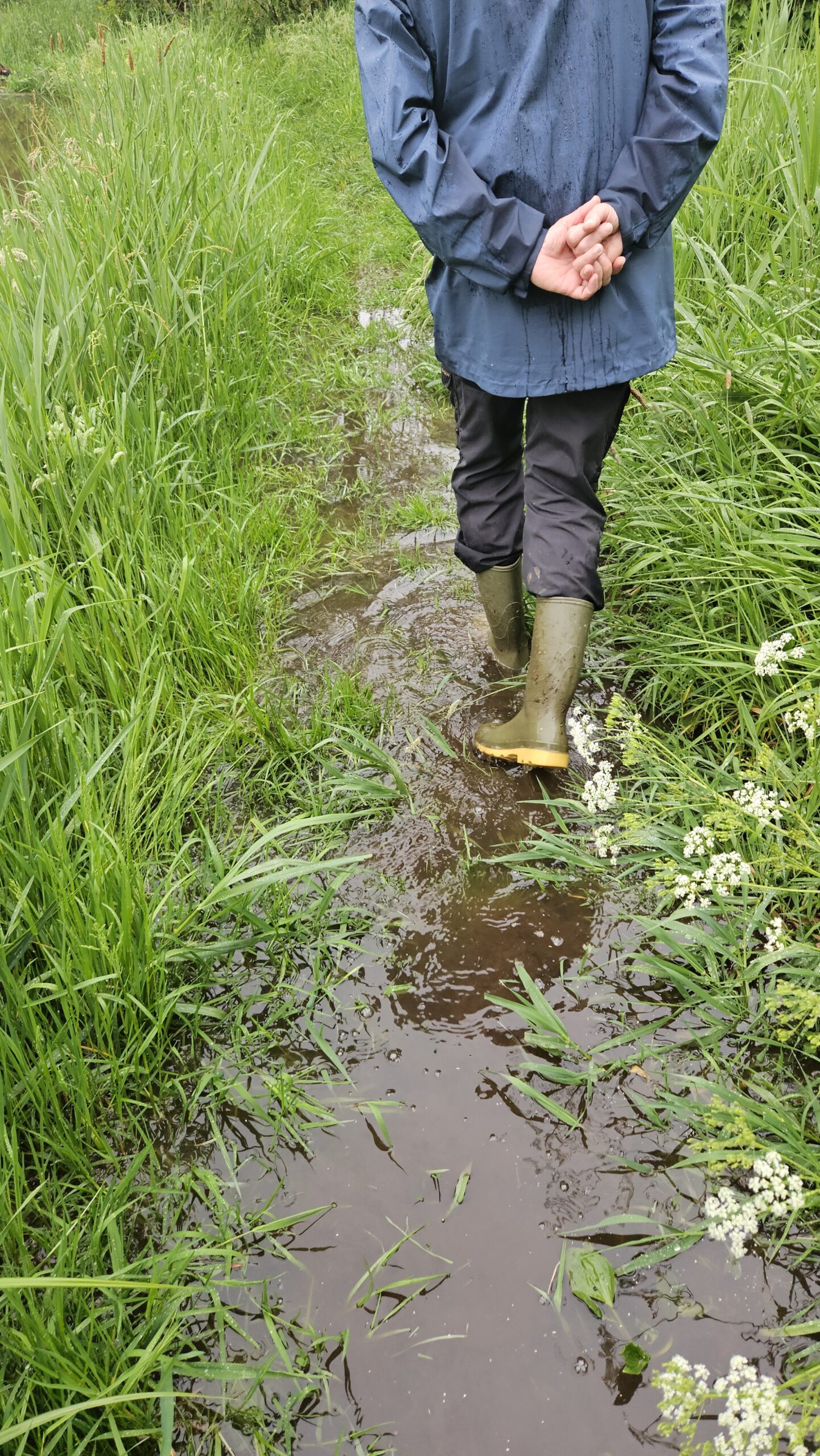 Persoon loopt in regenjas en laarzen door een modderige, met gras omgeven plas water.