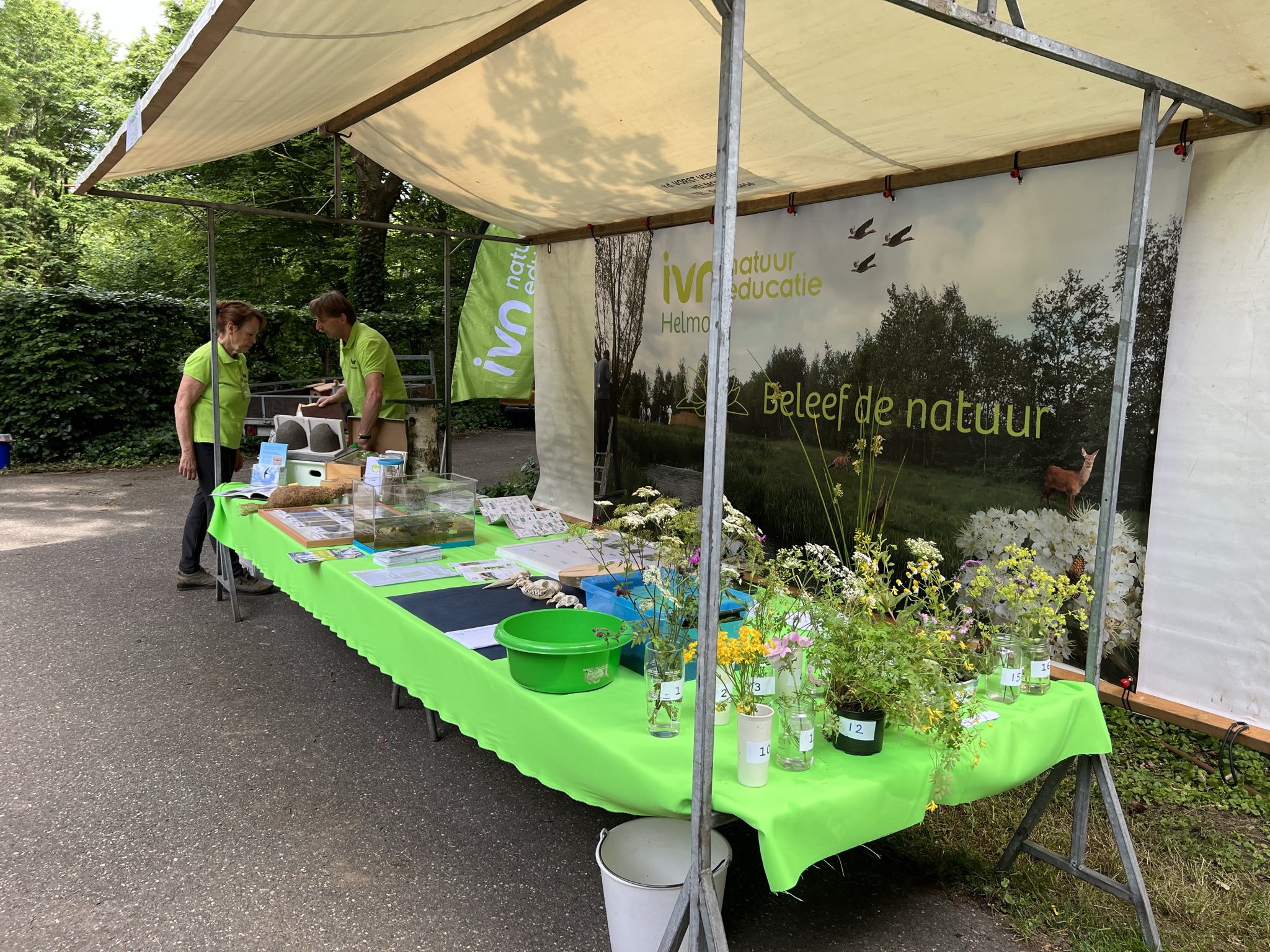 Marktkraam met natuurthema, met groene tafel, planten, folders en twee personen in gesprek.