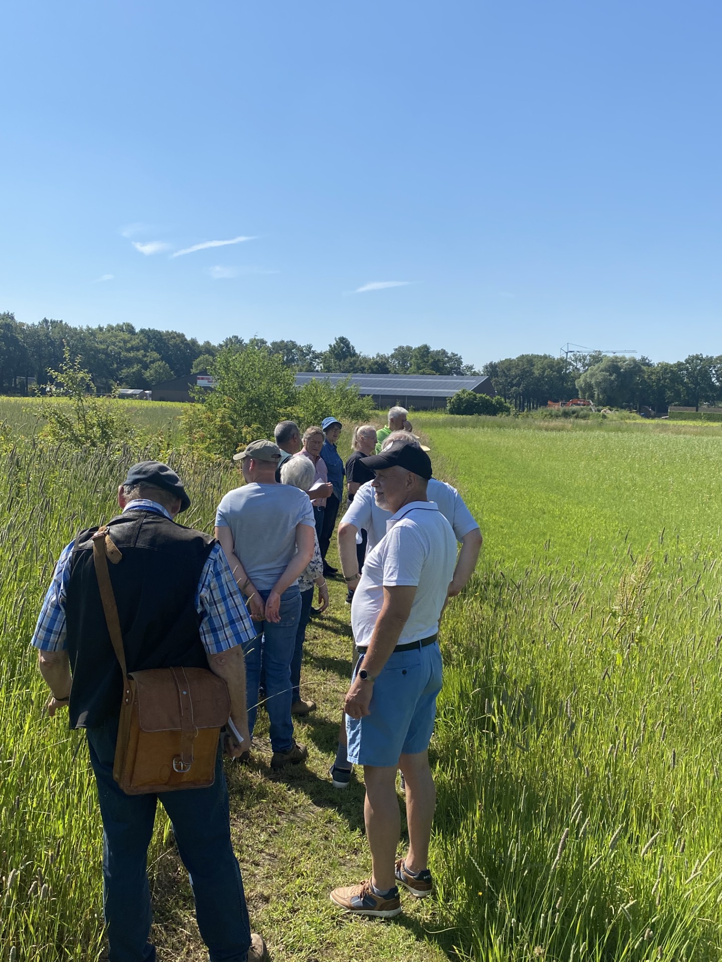 Mensen wandelen in een groen veld op een zonnige dag. Bosrand en een gebouw op de achtergrond.