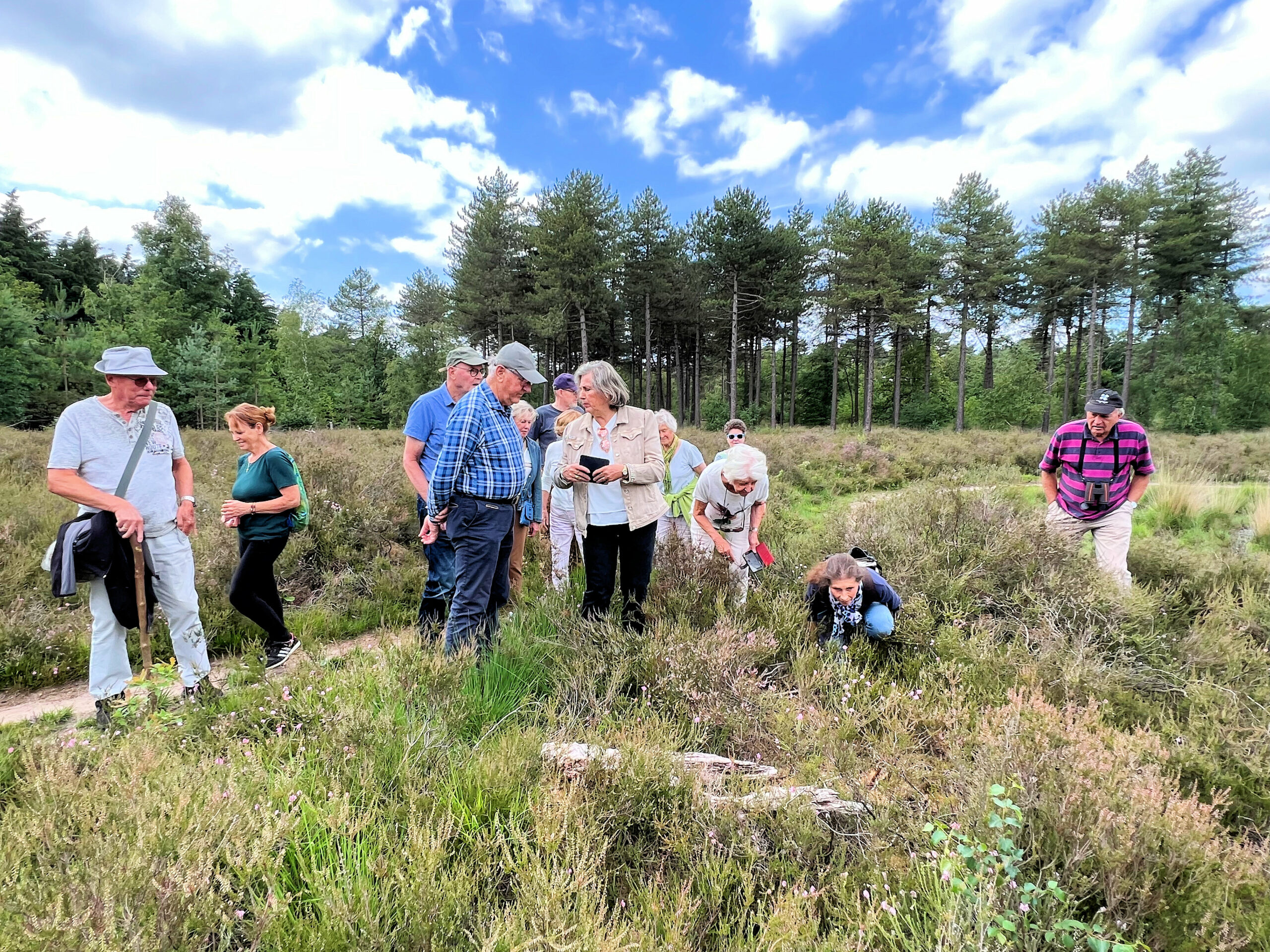 Groep mensen wandelt en bekijkt heide in bosrijke omgeving onder een blauwe lucht met wolken.