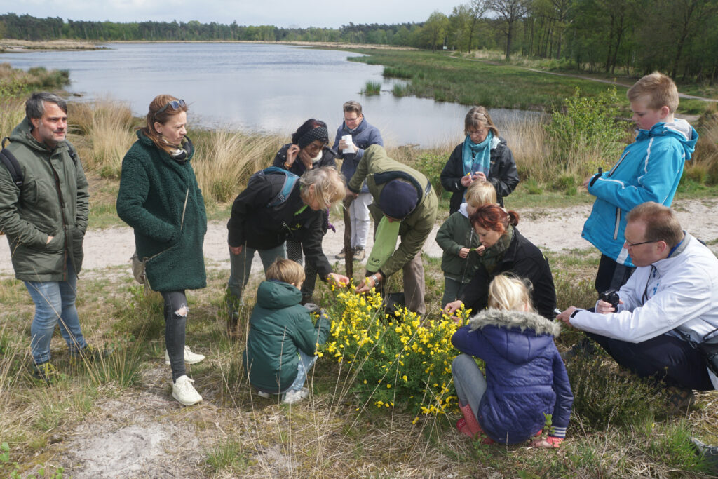 Groep mensen onderzoekt gele bloemen langs meer met gras en bomen op achtergrond.