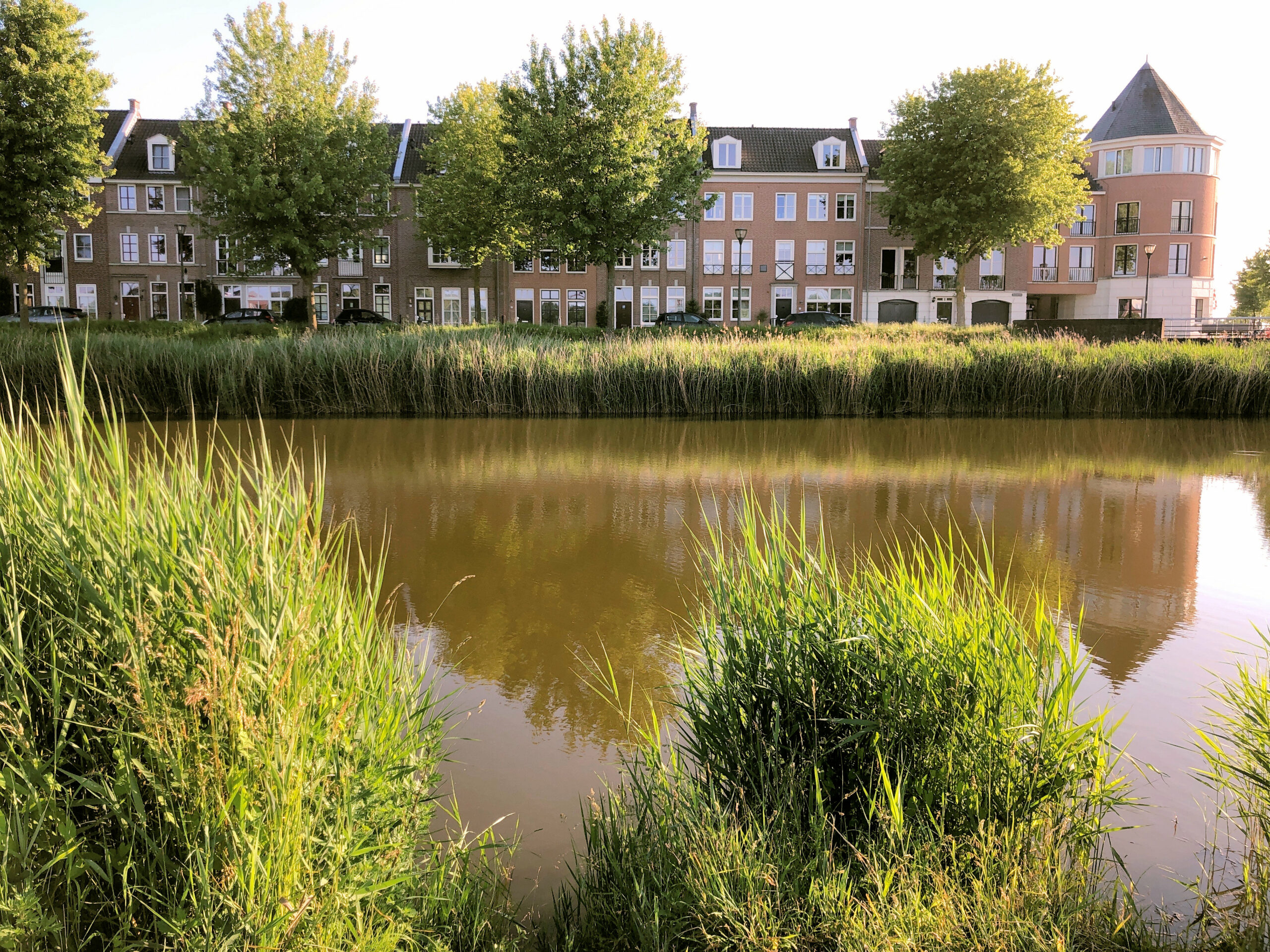Rivier met riet, rij huizen en bomen op de achtergrond onder heldere lucht.