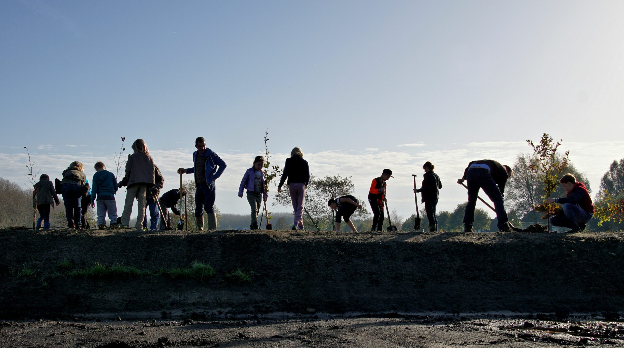 Groep kinderen en volwassenen plant bomen op een rustige, zonnige dag.