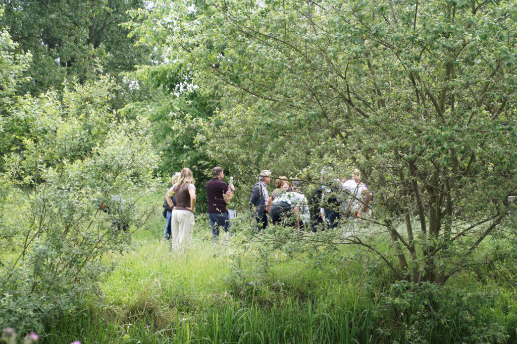 Groep mensen observeert natuur in bosrijke omgeving met groene bomen en gras.
