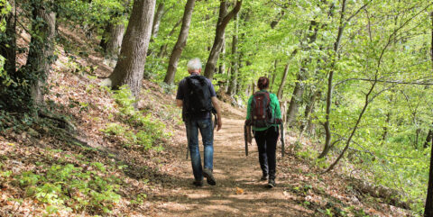 Twee mensen wandelen met rugzakken op een bosachtig pad omgeven door groene bomen.