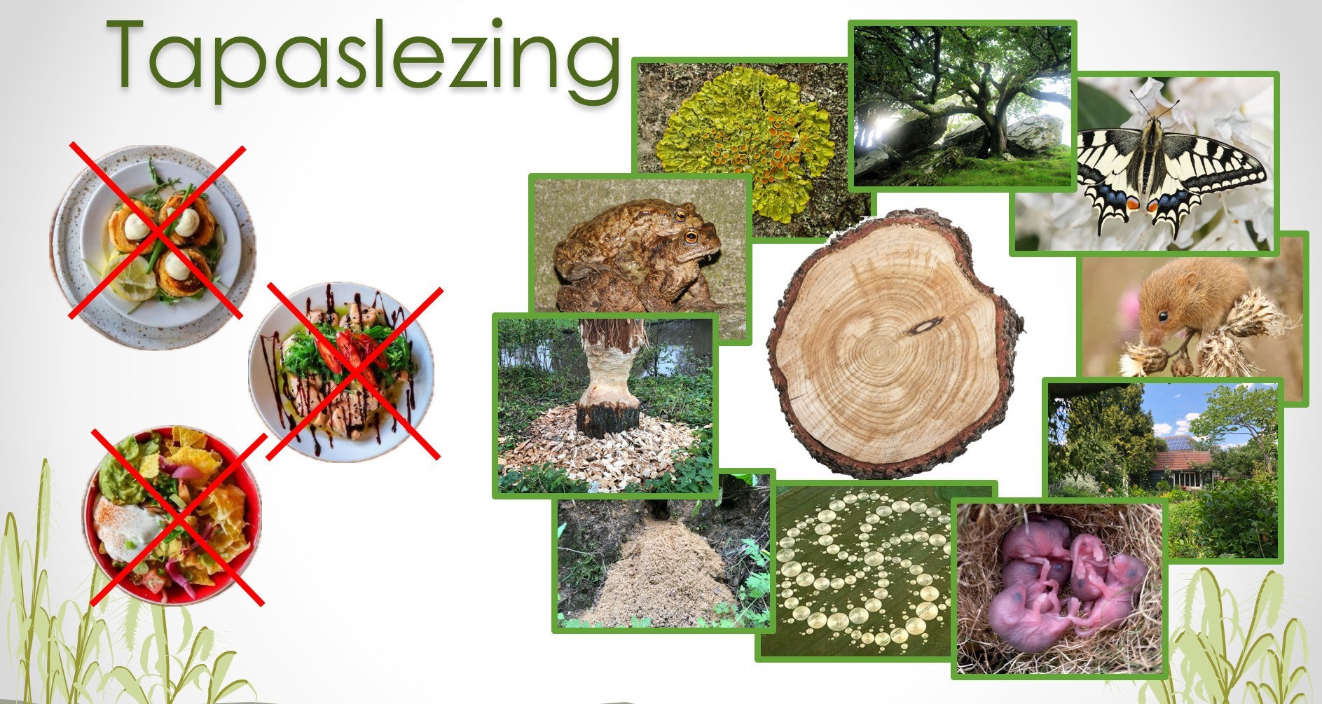 Afbeelding van een presentatie over natuur met planten, dieren, bomen en een huis, zonder eten.