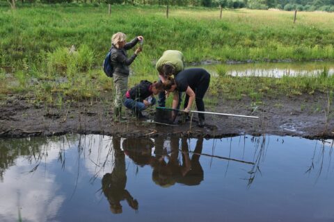Groep mensen onderzoekt modderige oever van een vijver; vrouw maakt foto.