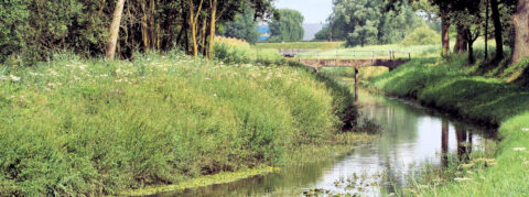 Een schilderachtig landschap met een beek, groene oevers en een houten brug.