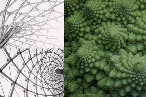 Links: zwart-witte architecturale structuren; rechts: close-up van groene Romanesco kool.