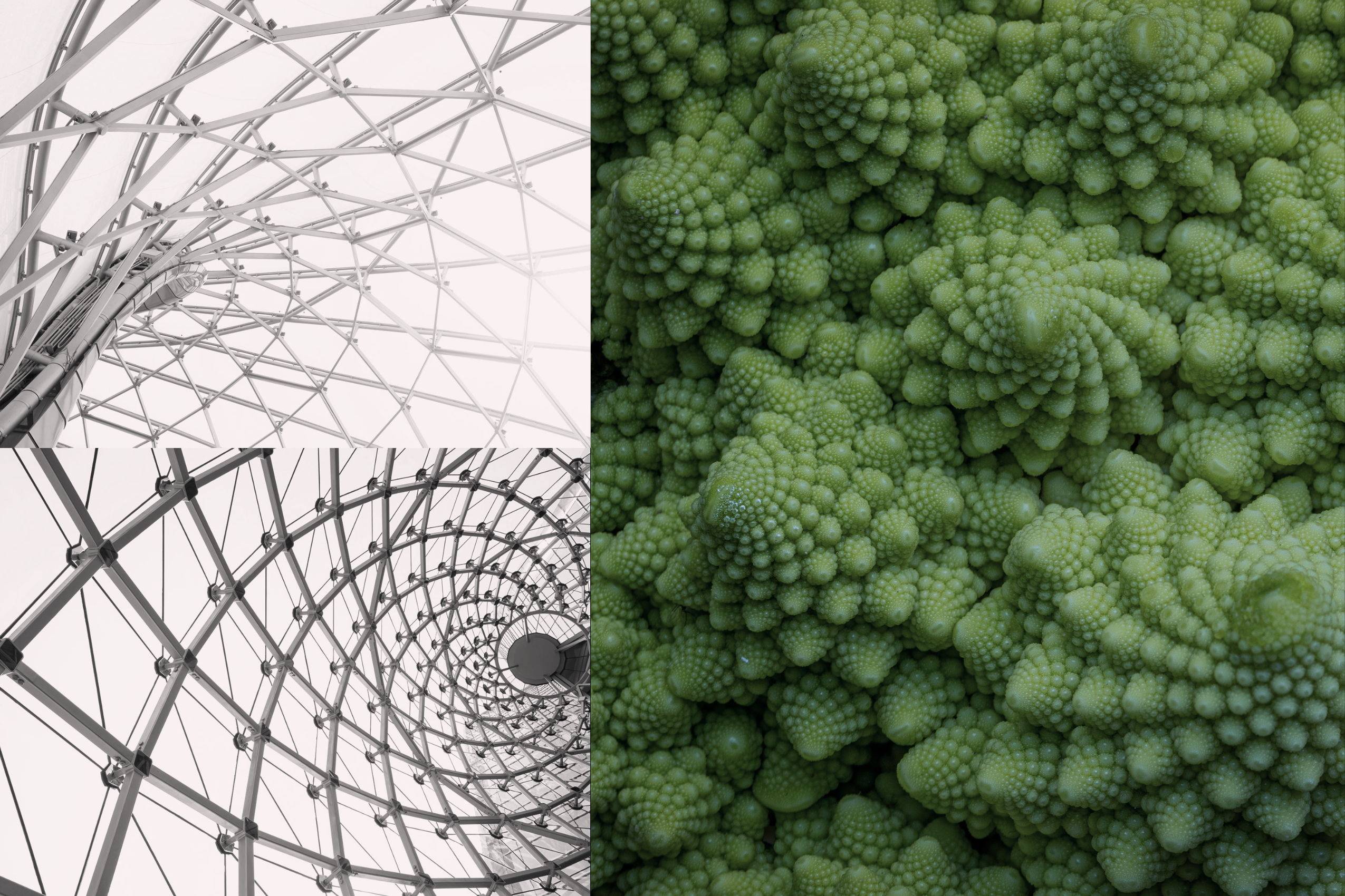 Links: zwart-witte architecturale structuren; rechts: close-up van groene Romanesco kool.
