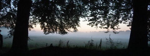 Mistige zonsopkomst tussen bomen, met silhouetten van gras en bomen tegen de horizon.