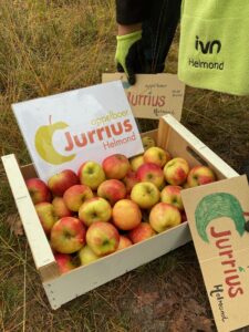 Krat met appels en borden van "appelboer Jurrius Helmond" buiten naast iemand met groene handschoenen.