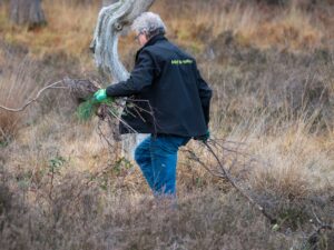Persoon met handschoenen verzamelt takken in een grasrijk natuurgebied.