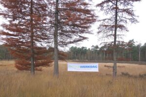 Twee bomen in grasland met spandoek "Natuurwerkdag" tussen de stammen.