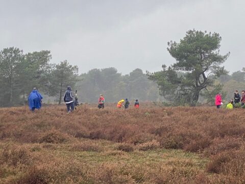 Mensen wandelen in een heidegebied op een bewolkte dag, omringd door bomen en struiken.