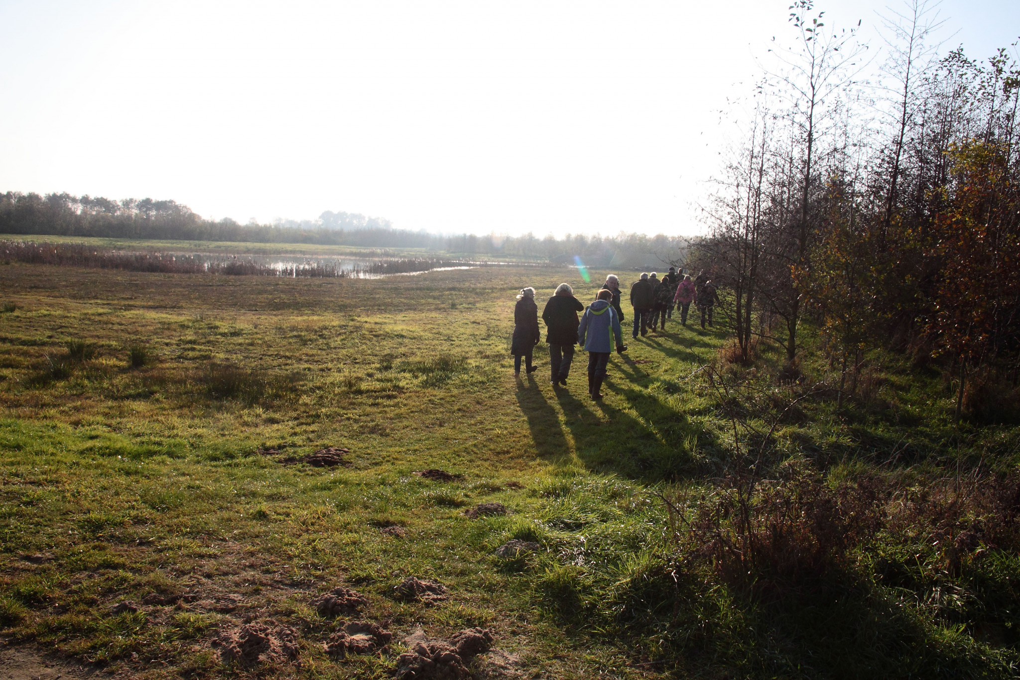 Natuuravonden organiseren
