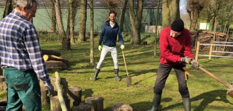 Drie mannen verwijderen een boomstronk in een groene tuin met gereedschap en touwen.