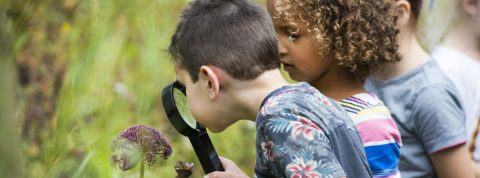 kind loep natuur