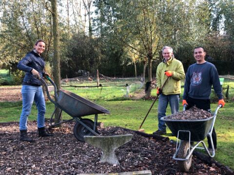 Drie personen met kruiwagens en harken werken in een bosrijke tuin.