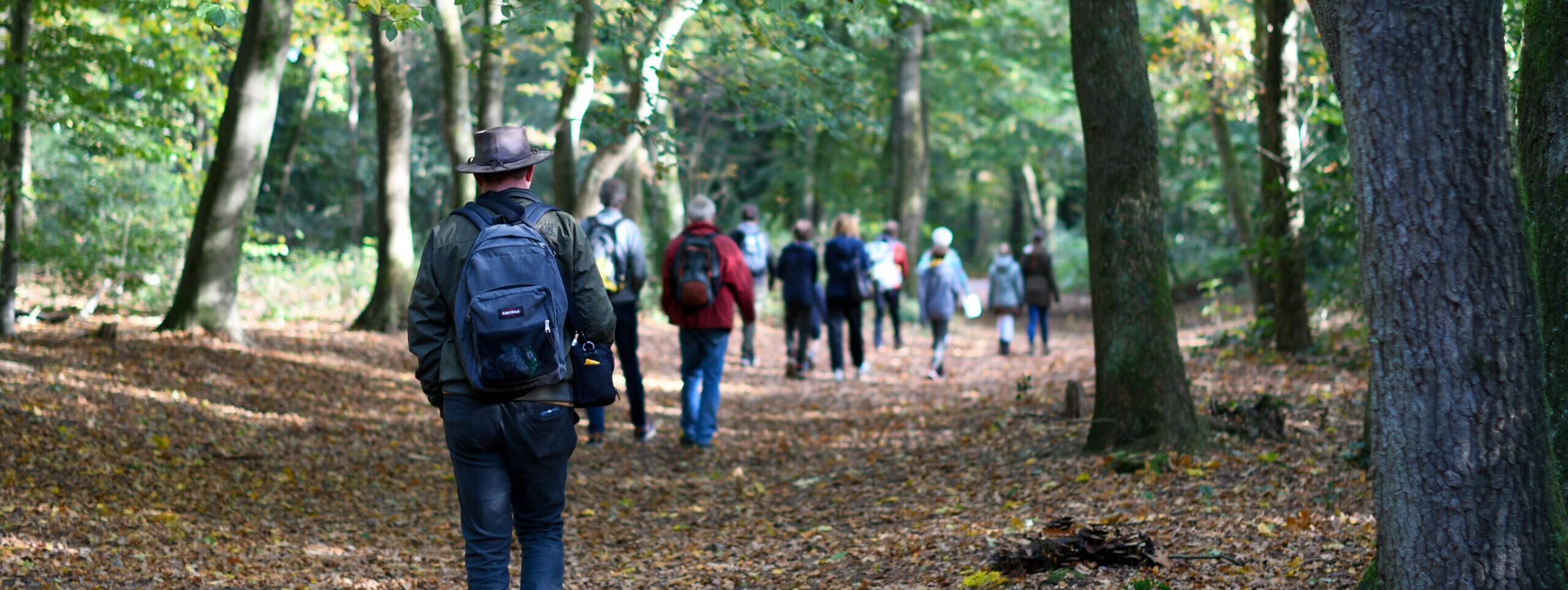 Groep wandelaars met rugzakken in een bos op een herfstachtige dag.